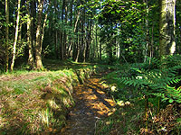 Nejsevern�j&scaron;&iacute; bod �esk&eacute; republiky