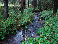 Nejji�n�j&scaron;&iacute; bod �R