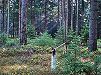 Nov&yacute; ��&aacute;r