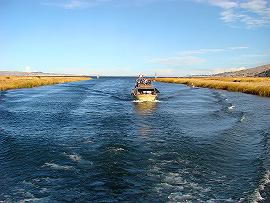 n&aacute;vrat do Puna - pr�jezd r&aacute;kosov&yacute;m porostem