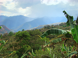n&iacute;�inn&aacute; oblast Severn&iacute; Yungas
